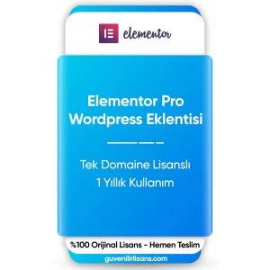 Elementor Pro - WordPress Eklentisi